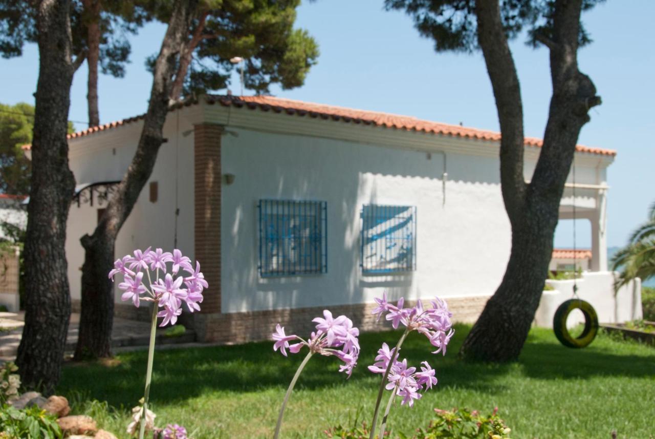 Sargantana Blava Sant Carles de la Ràpita Exterior foto
