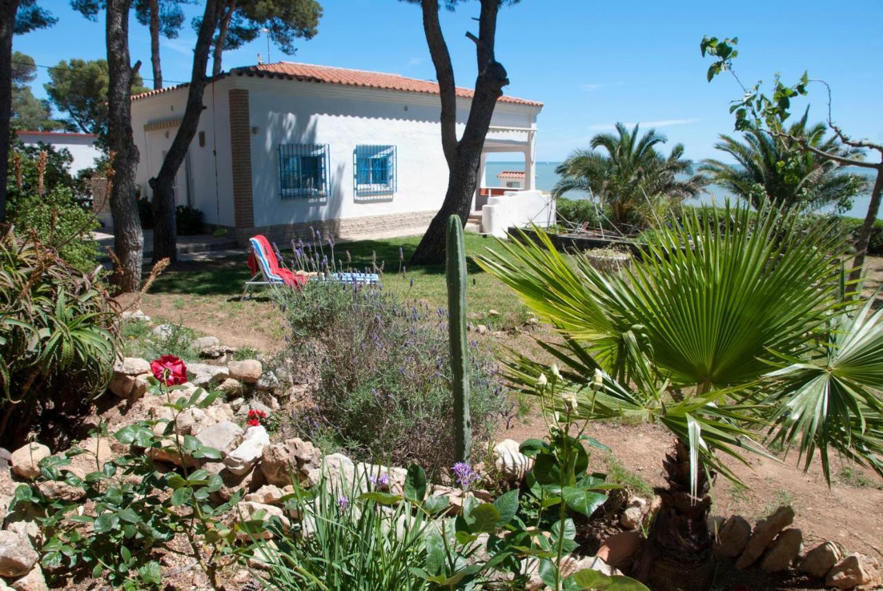 Sargantana Blava Sant Carles de la Ràpita Exterior foto